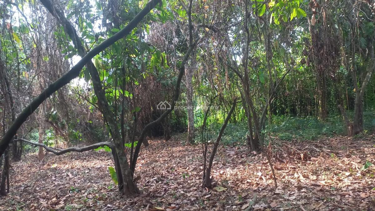 Cocoa Farm Estate Land, Obafemi Owode, Ogun, Land for Sale