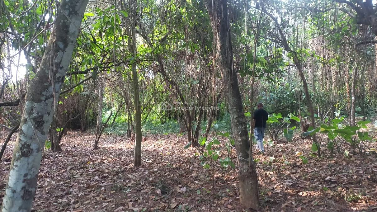 Cocoa Farm Estate Land, Obafemi Owode, Ogun, Land for Sale