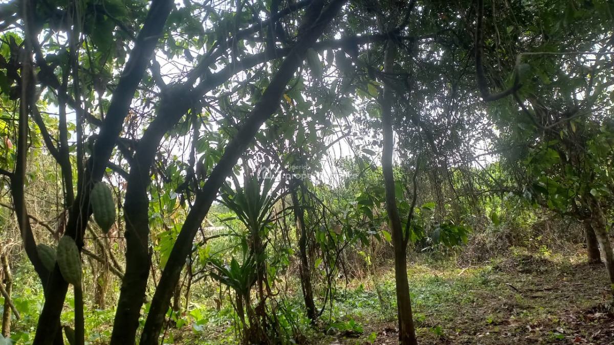 Cocoa Farm Estate Land, Obafemi Owode, Ogun, Land for Sale