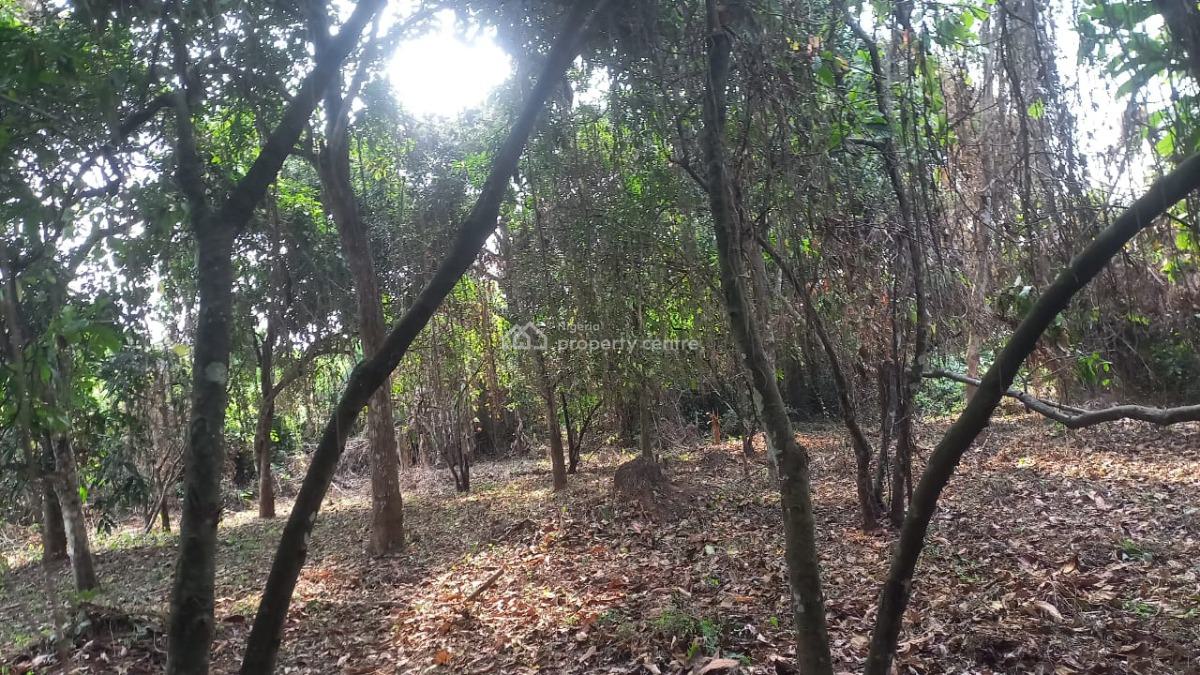 Cocoa Farm Estate Land, Obafemi Owode, Ogun, Land for Sale