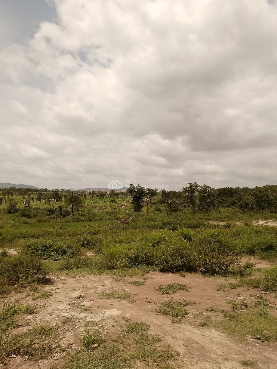 1 Hectare Multi Purpose Land Cleared and Ready to Build, Phase 3, Jikwoyi, Abuja, Mixed-use Land for Sale