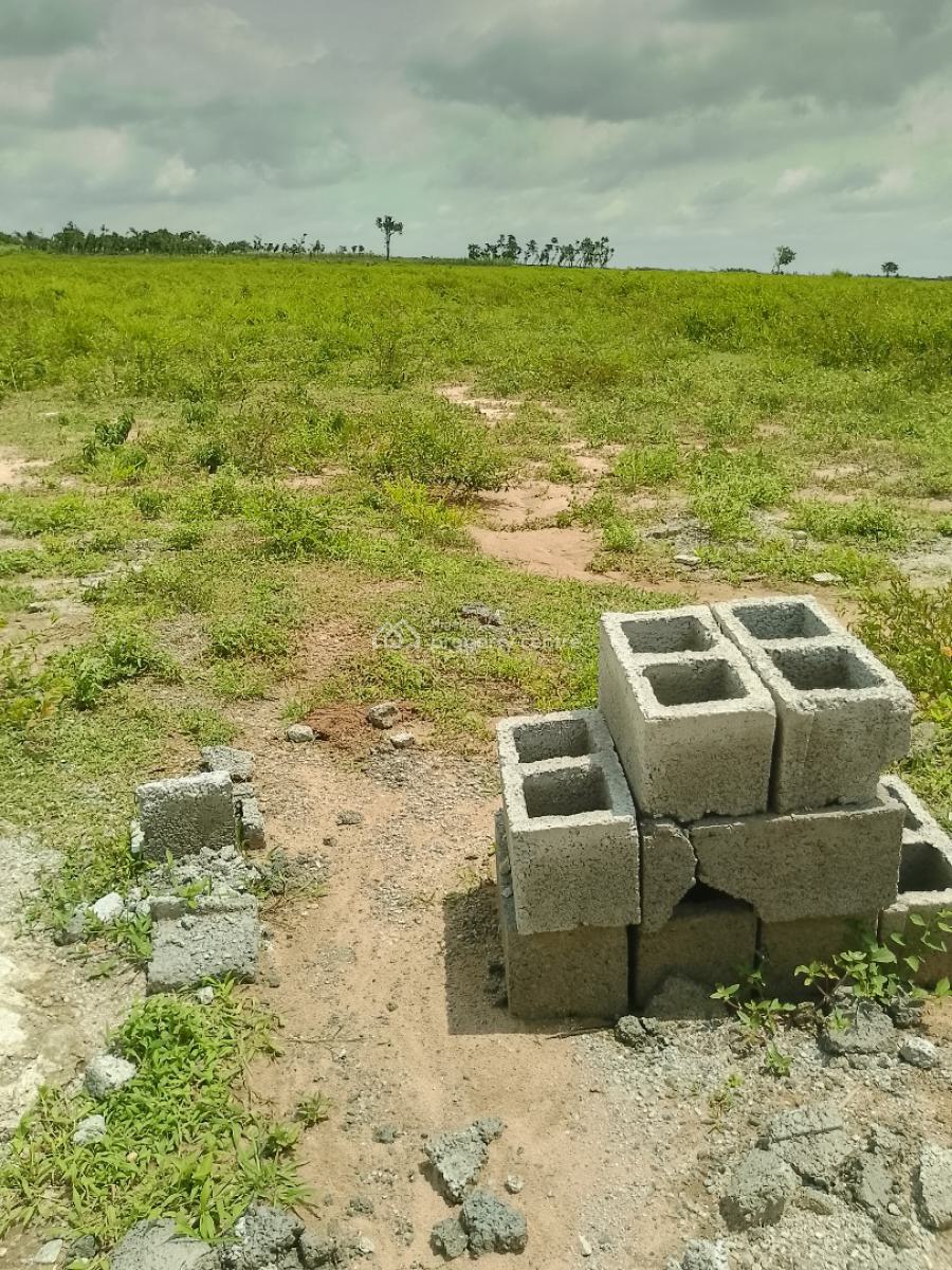 1 Hectare Multi Purpose Land Cleared and Ready to Build, Phase 3, Jikwoyi, Abuja, Mixed-use Land for Sale