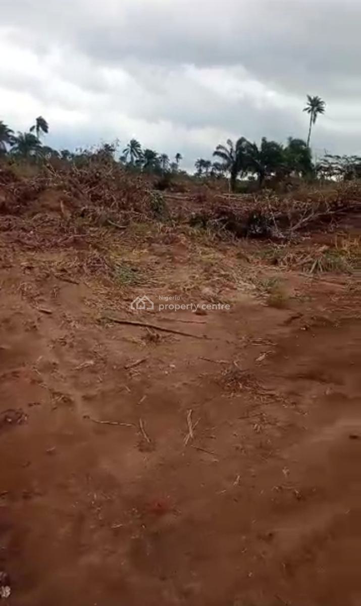 Enjoy 20% Promo Discount Land Strategically Facing Road, Prosperity Gardens  Along Futo Junction to Ilile  Rd Obinze,new Owerri, Obinze, Owerri Municipal, Imo, Residential Land for Sale