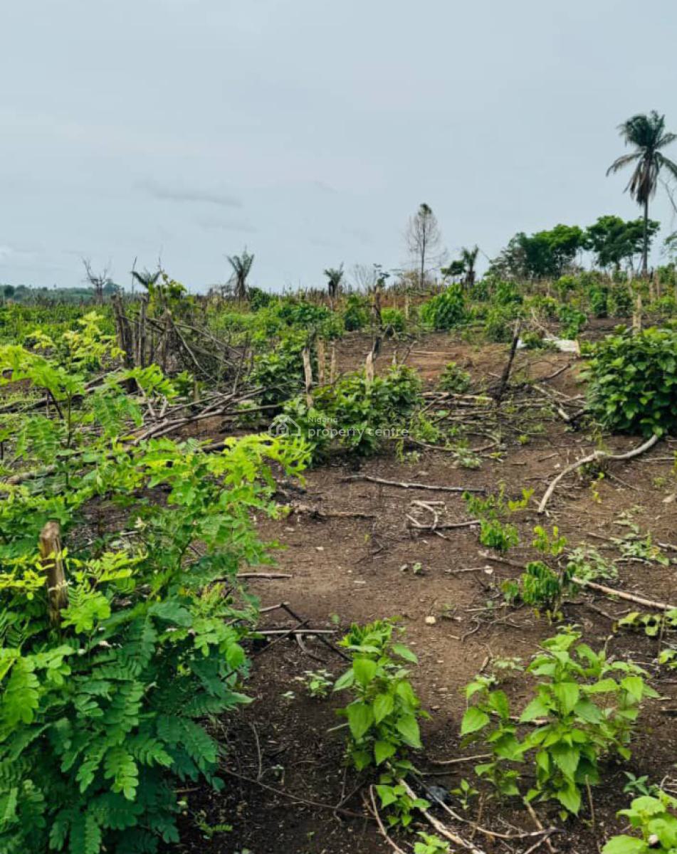 C of O Plots and Acres of Lands in Wasimi, Ado-iwaye, Iseyin Oyo State, Wasimi, Ado-iwaye, Iseyin, Oyo, Land for Sale