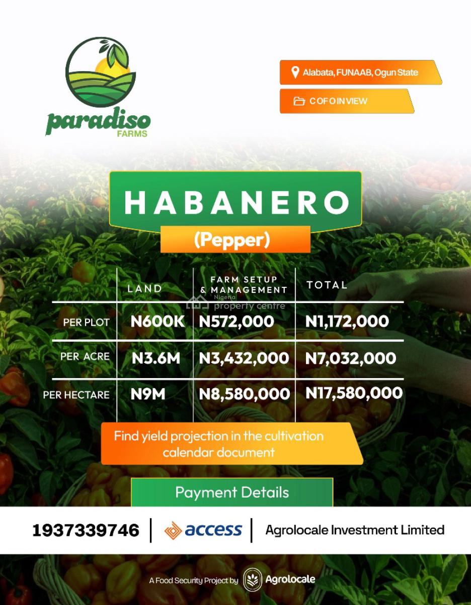 a Sustainable Pathway to Land Ownership and Profitable Farming, Fast Moving Crops with The Assurance of Timely Harvest, Abeokuta North, Ogun, Commercial Land for Sale