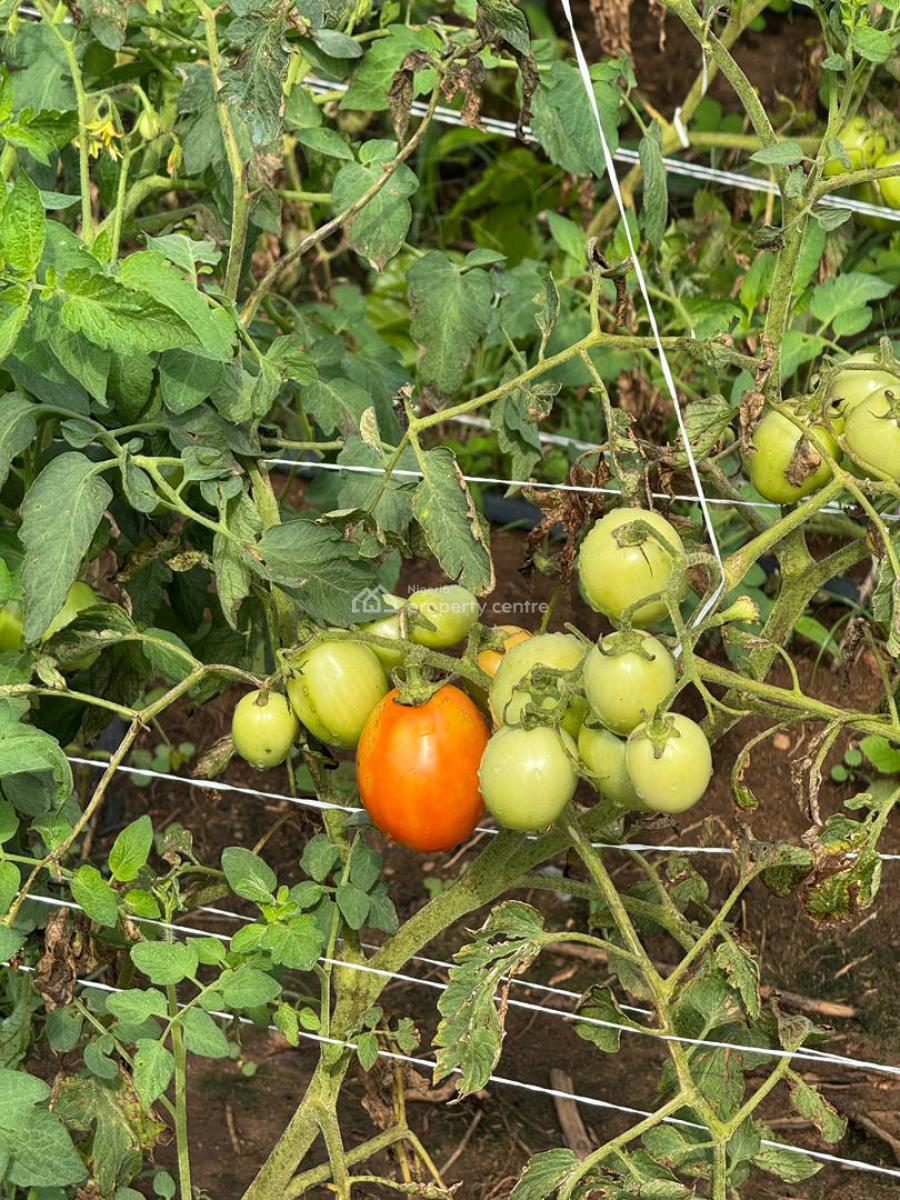 a Sustainable Pathway to Land Ownership and Profitable Farming, Abeokuta North, Ogun, Commercial Land for Sale