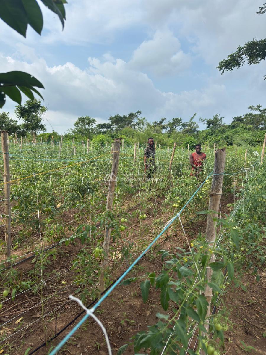 a Sustainable Pathway to Land Ownership and Profitable Farming, Abeokuta North, Ogun, Commercial Land for Sale