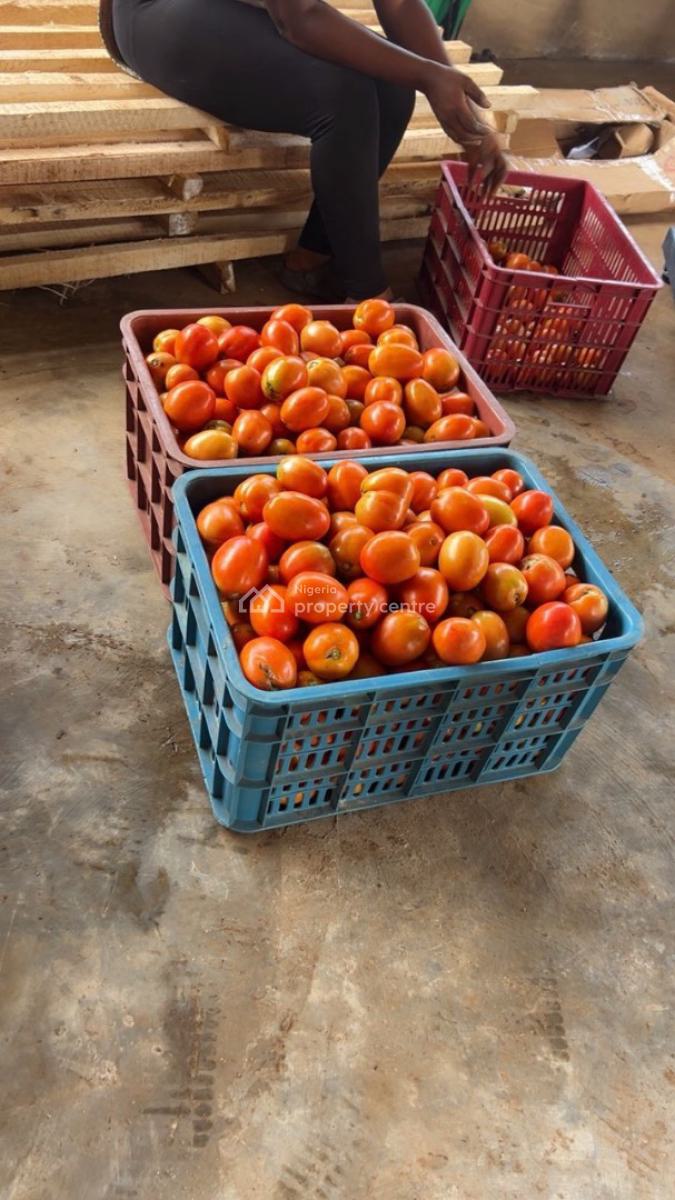 a Sustainable Pathway to Land Ownership and Profitable Farming, Abeokuta North, Ogun, Commercial Land for Sale