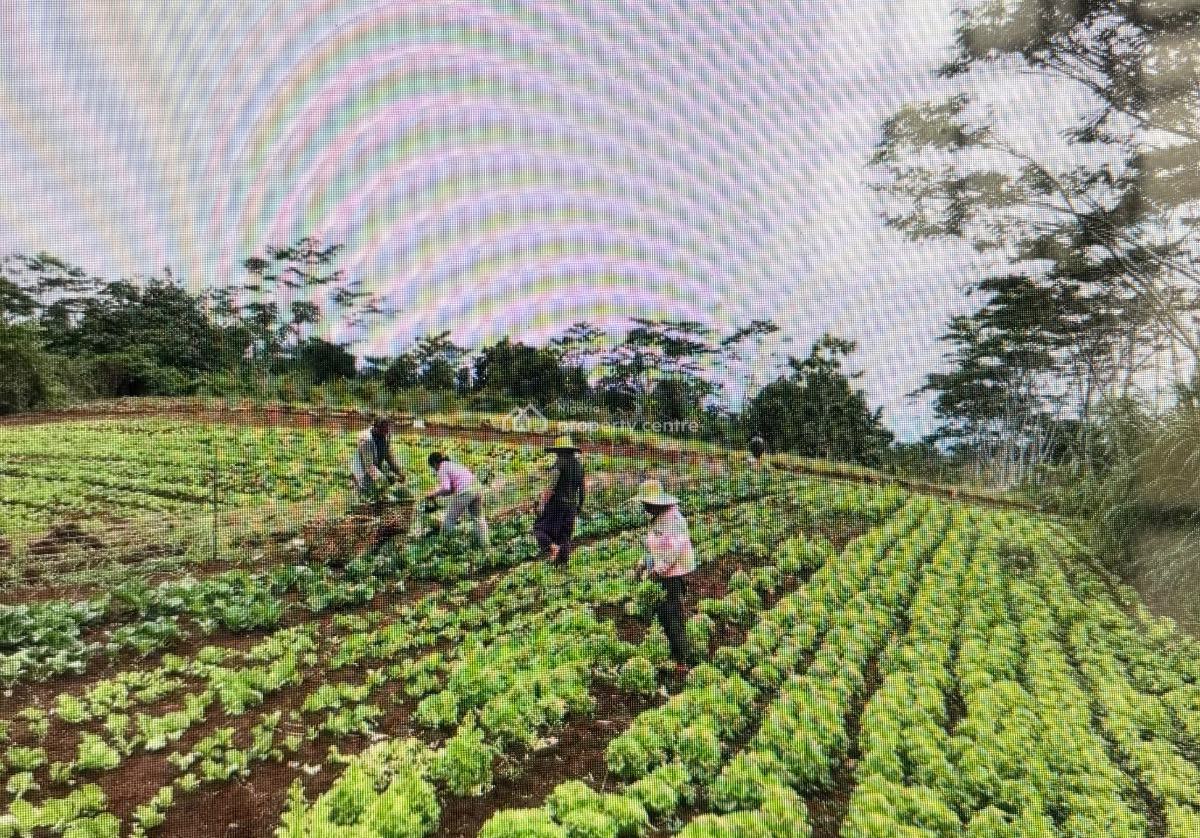 Productive Commercial Farm on 1,188,800sqm of Uncontaminated Land, Dobi Area, Gwagwalada, Abuja, Commercial Property for Sale