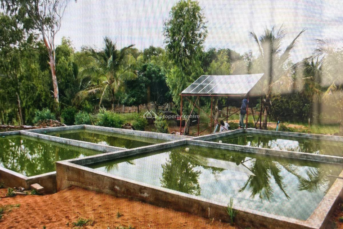 Productive Commercial Farm on 1,188,800sqm of Uncontaminated Land, Dobi Area, Gwagwalada, Abuja, Commercial Property for Sale