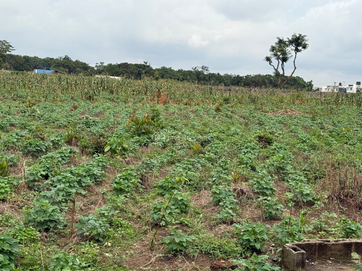 Buildable and Liveable Commercial Plot of Land with C of O, Off 3rd Avenue, Gwarinpa, Abuja, Commercial Land for Sale