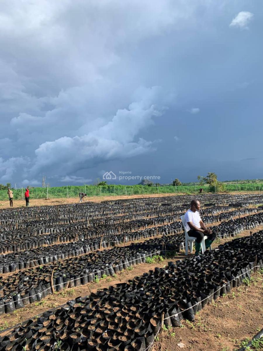 One Acre of Palm Oil Plantation, Iseyin-okeogun Road, Iseyin-okeogun, Iseyin, Oyo, Land for Sale