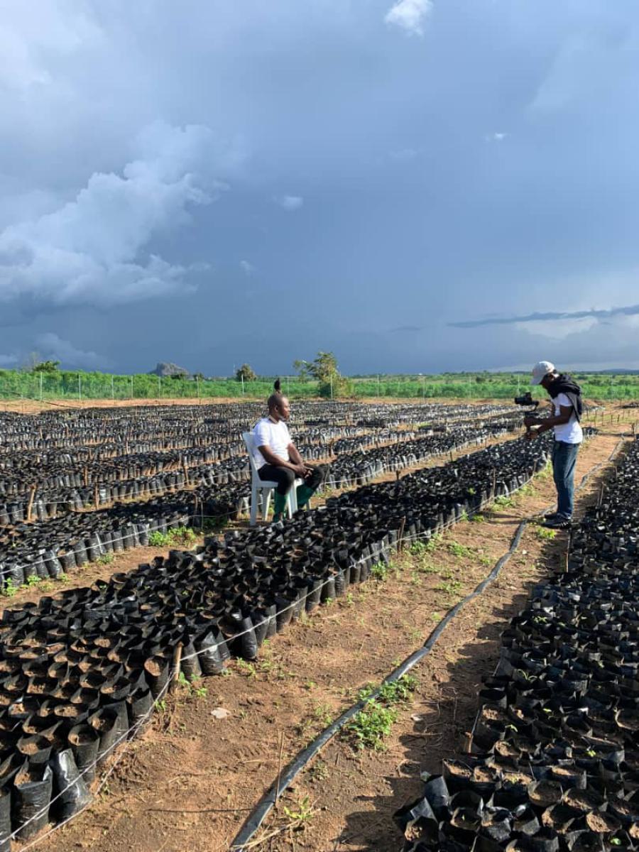 One Acre of Palm Oil Plantation, Iseyin-okeogun Road, Iseyin-okeogun, Iseyin, Oyo, Land for Sale