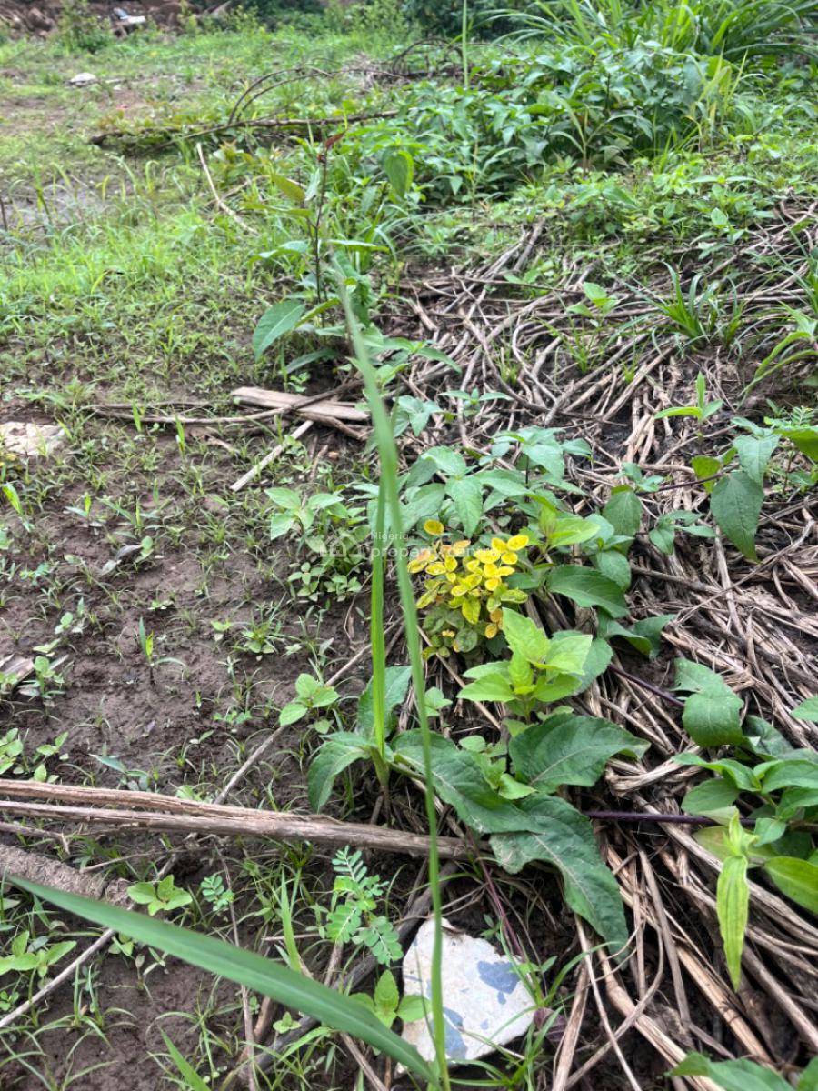 a Peaceful and Strategic 700 Acres of Farm Land, Seriki Village Via Alabata Odeda Local Government Abeokuta, Odeda, Ogun, Commercial Land for Sale