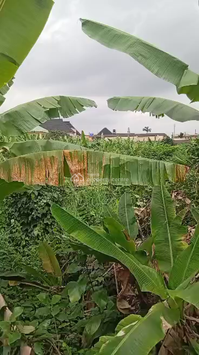 a Piece of Land, Ipaja, Lagos, Land for Sale