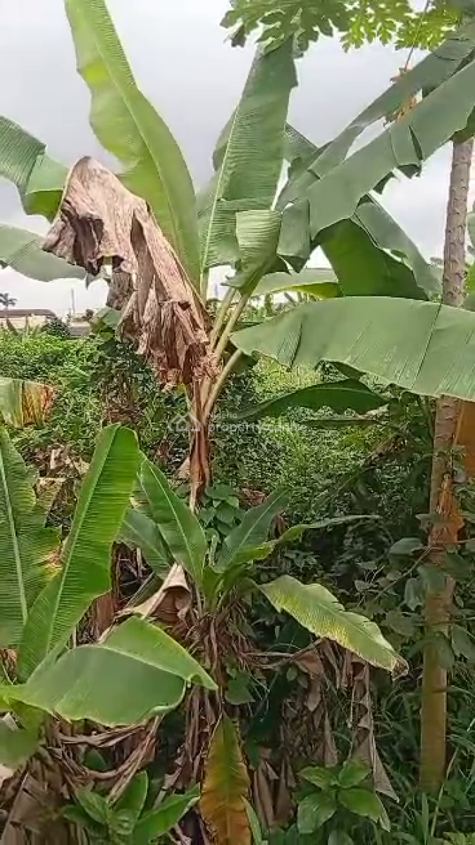 a Piece of Land, Ipaja, Lagos, Land for Sale