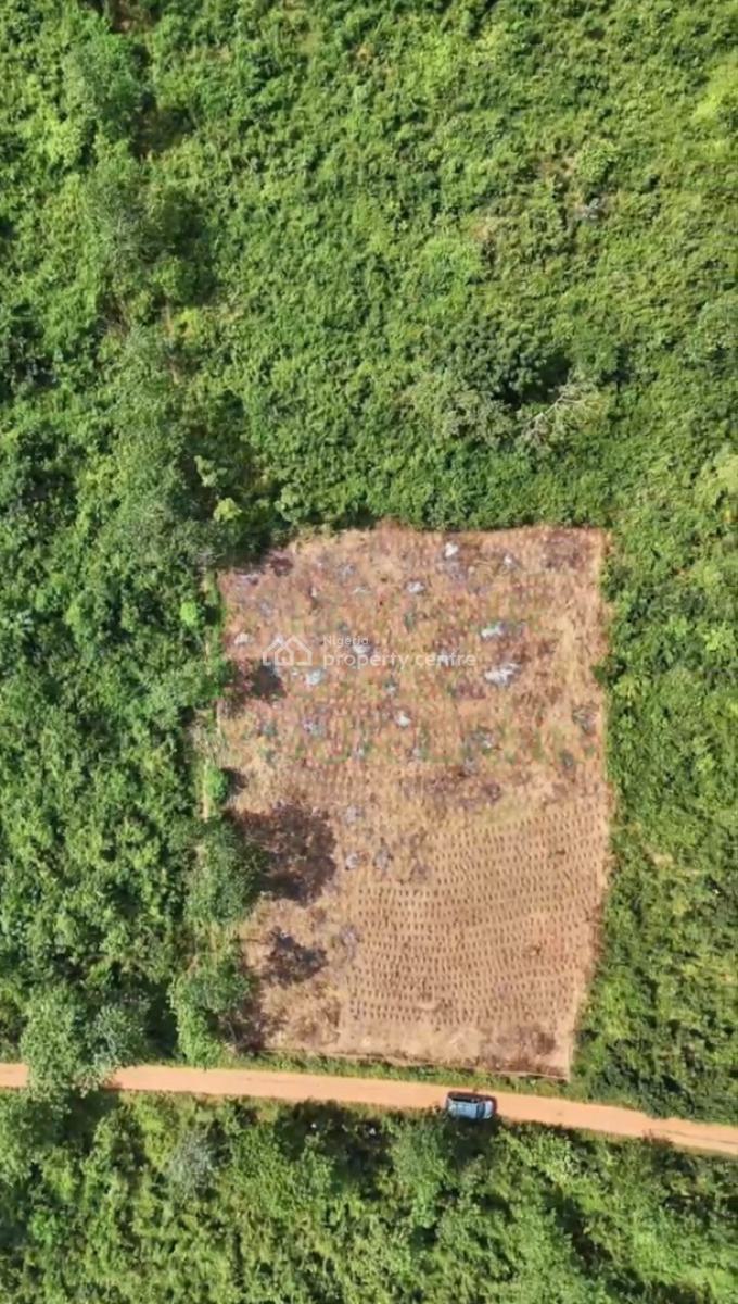 Own Fertile  Farmland and Invest in The Cultivation of High-demand, Tejoun Kesi Village, Alabata – Funnabaxis,, Abeokuta South, Ogun, Mixed-use Land for Sale