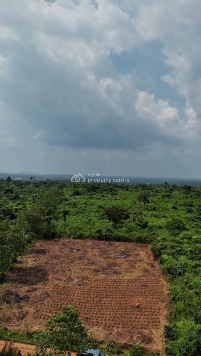 Own Fertile  Farmland and Invest in The Cultivation of High-demand, Tejoun Kesi Village, Alabata – Funnabaxis,, Abeokuta South, Ogun, Mixed-use Land for Sale