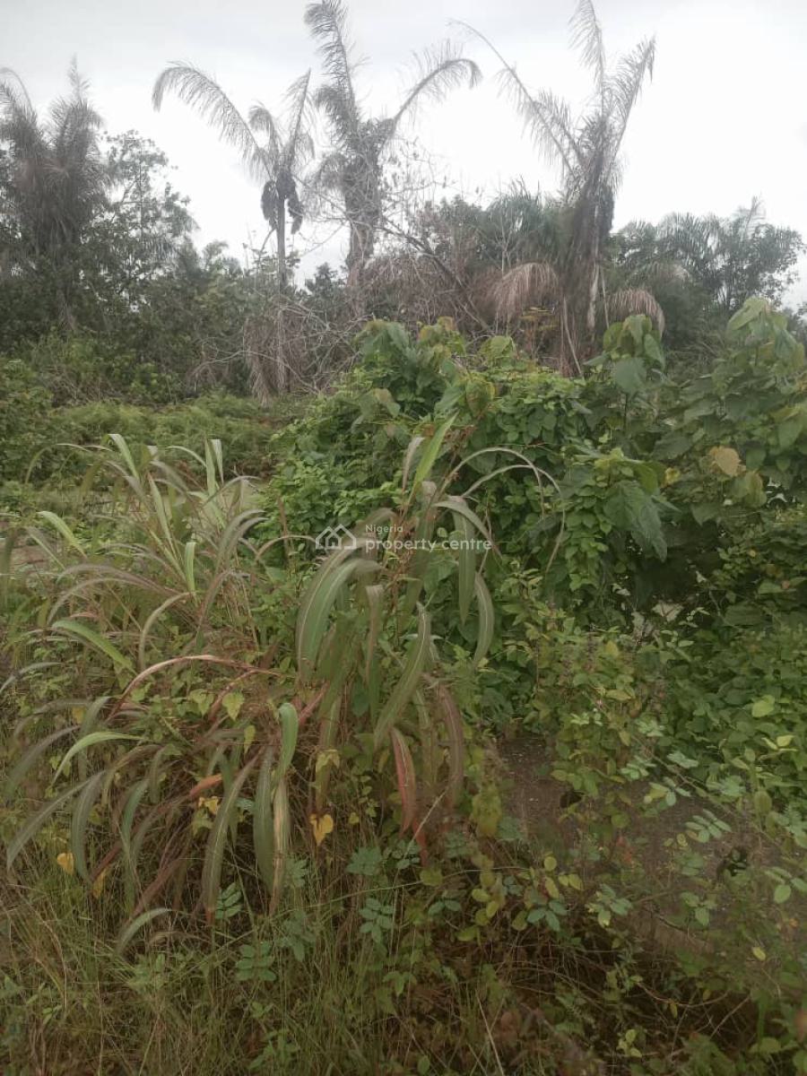 959sqm of Bareland, Lekki Scheme 2, Ajah, Lagos, Mixed-use Land for Sale