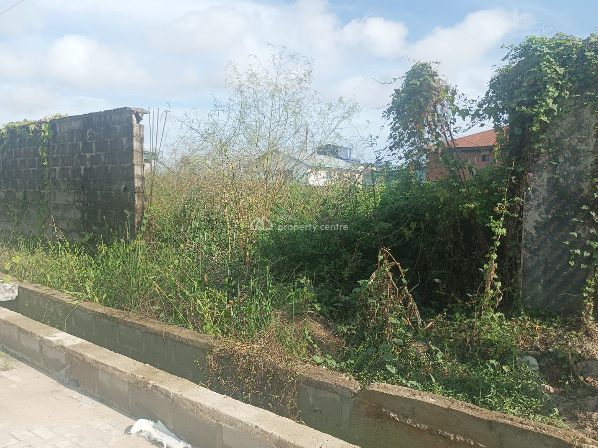 Primely Located 2 Contiguous Plots, 1600sqm Ripe for Development, Off Apple Junction Road, Amuwo Odofin, Lagos, Residential Land for Sale