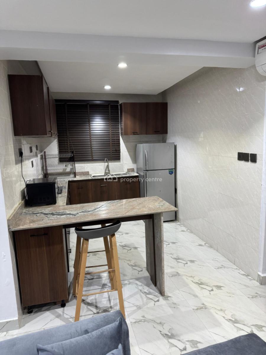 Move-in Ready One Bedroom Luxury Apartment, Ademola Adetokunbo Crescent, Wuse 2, Abuja, Mini Flat (room and Parlour) for Rent