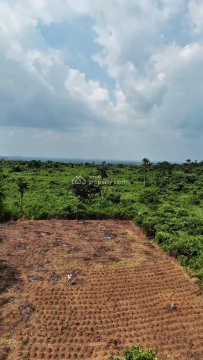 Own Fertile Farmland and Invest in The Cultivation of High-demand Crop, Suitable for Pepper,potato&maize Farming.tejoun Kesi Village, Alabata, Abeokuta South, Ogun, Land for Sale
