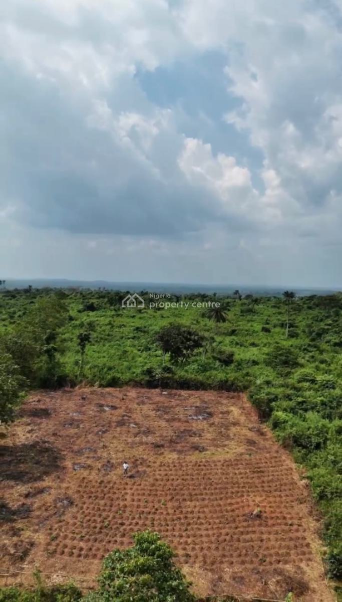 Own Fertile Farmland and Invest in The Cultivation of High-demand Crop, Suitable for Pepper,potato&maize Farming.tejoun Kesi Village, Alabata, Abeokuta South, Ogun, Land for Sale