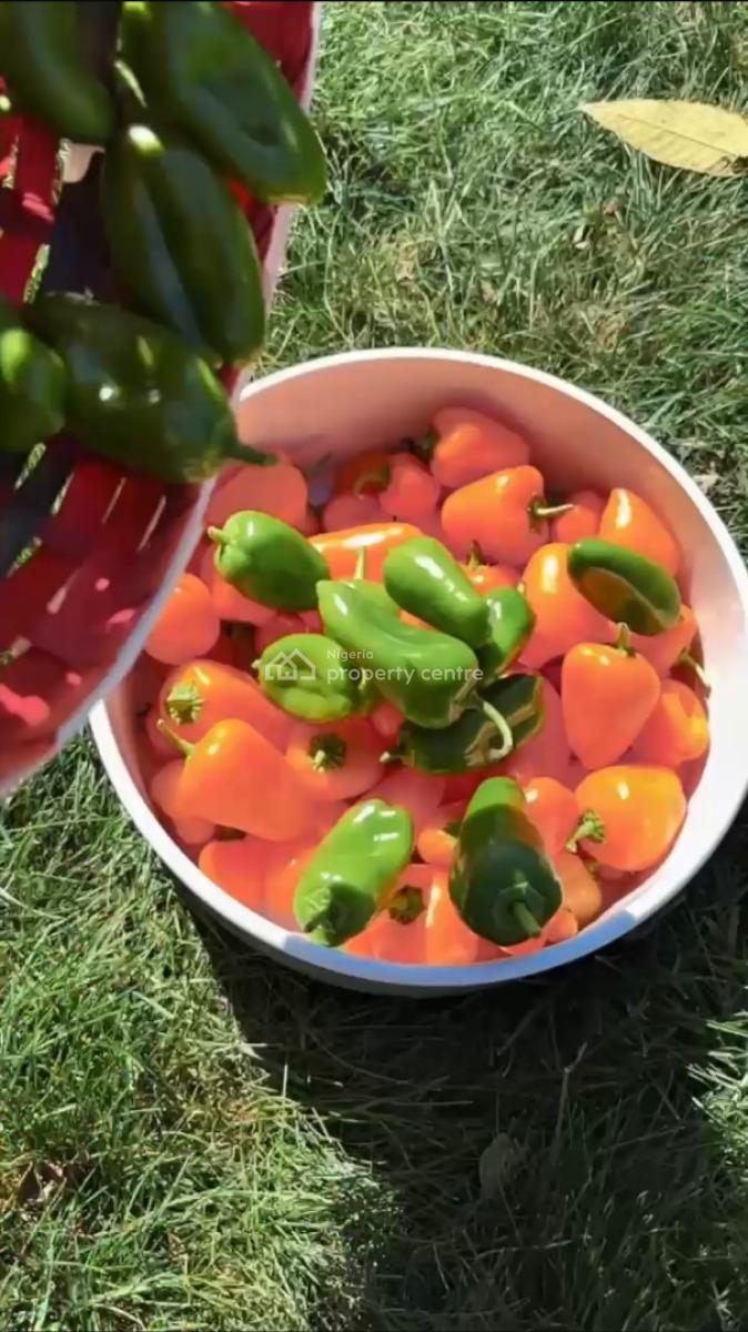 Own Fertile Farmland and Invest in The Cultivation of High-demand Crop, Suitable for Pepper,potato&maize Farming.tejoun Kesi Village, Alabata, Abeokuta South, Ogun, Land for Sale