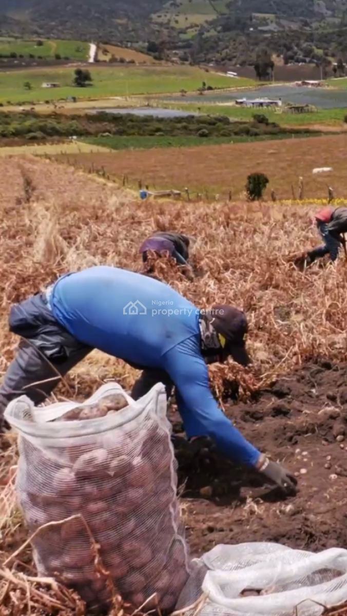 Own Fertile Farmland and Invest in The Cultivation of High-demand Crop, Suitable for Pepper,potato&maize Farming.tejoun Kesi Village, Alabata, Abeokuta South, Ogun, Land for Sale