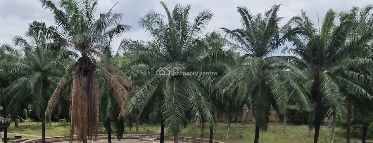 27,900 Sqm (30 Plots of 100x100), Benin, Oredo, Edo, Residential Land for Sale