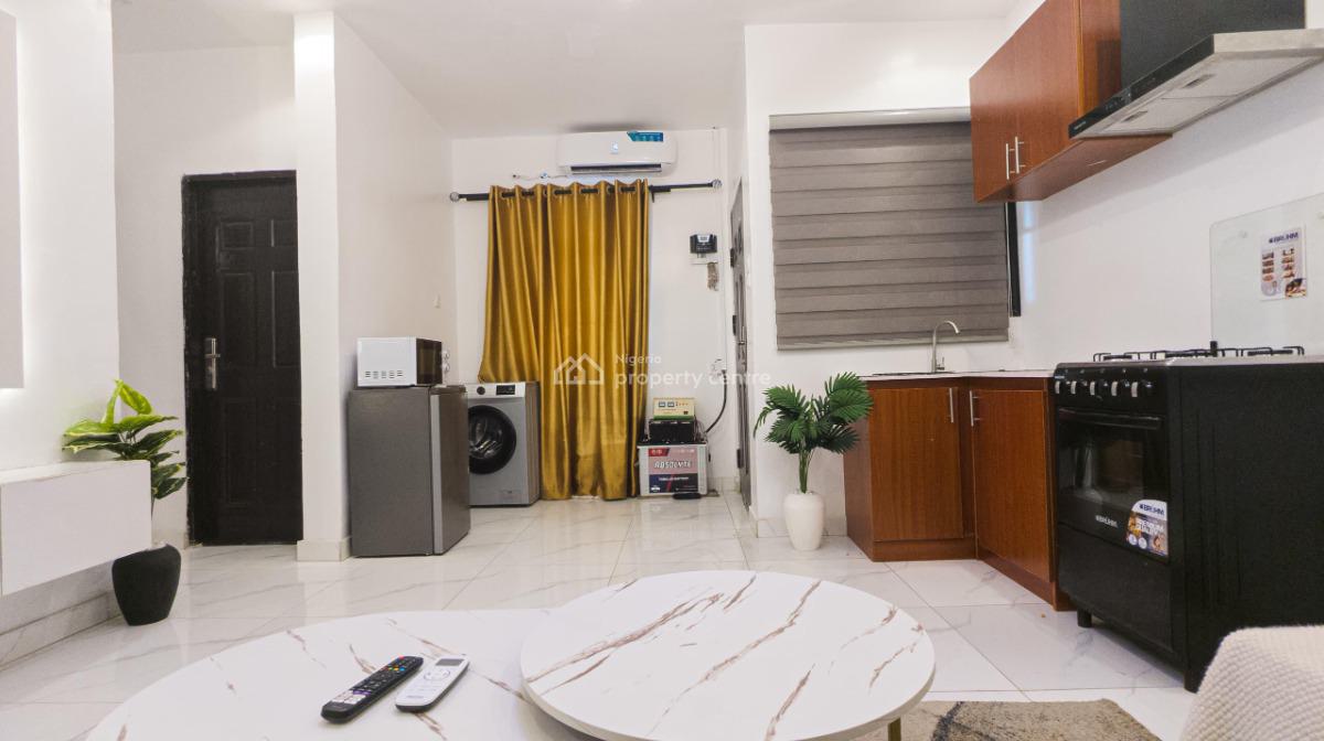 Nicely Furnished 1 Bedroom Apartment, Surulere, Lagos, Flat / Apartment Short Let