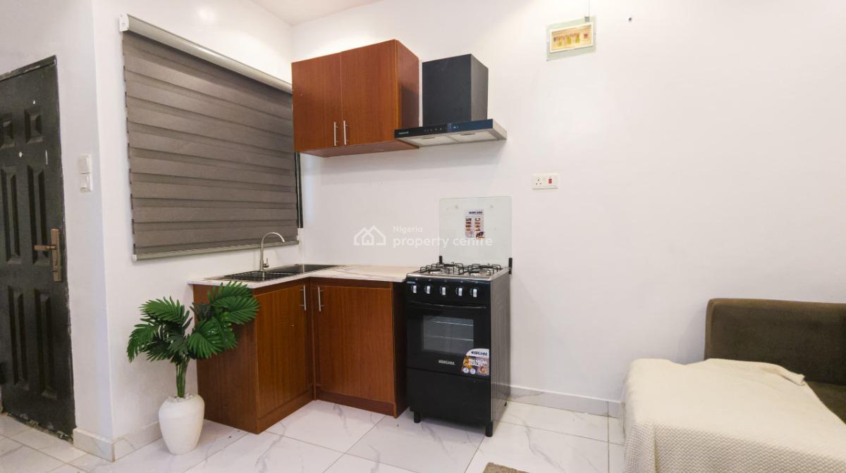 Nicely Furnished 1 Bedroom Apartment, Surulere, Lagos, Flat / Apartment Short Let