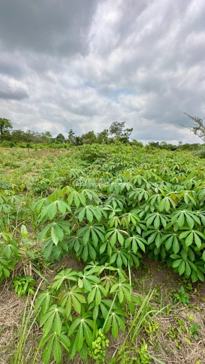 Acres and Hectares of Land with a Promo Offer & Flexible Payment Plan, Fertile Farmland Suitable for Cocoa ,plaintain , Palm Oil & Other Crop, Abeokuta North, Ogun, Residential Land for Sale