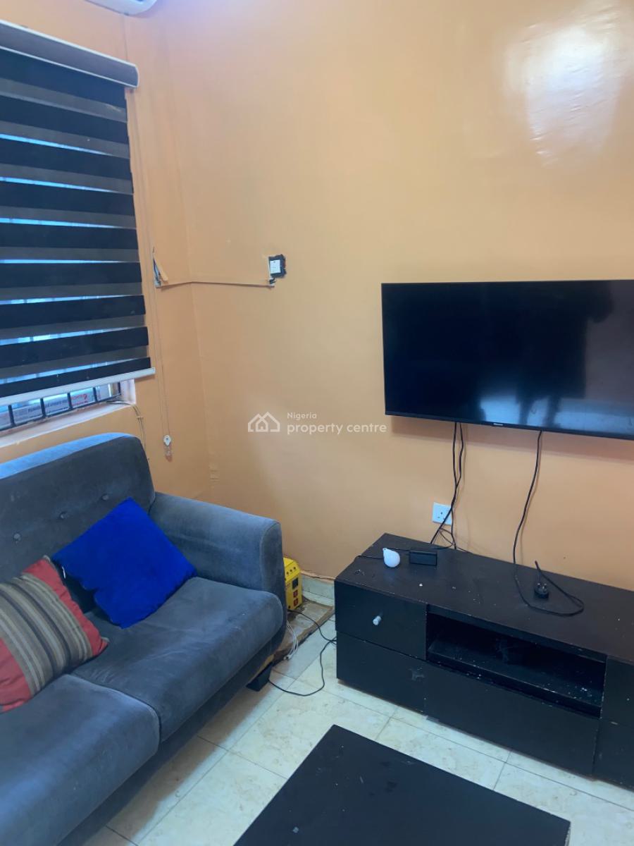 Fully Furnished Living Room and Bedroom Modern Kitchen with Appliances, Fola Agoro Yaba, Fola Agoro, Yaba, Lagos, Mini Flat (room and Parlour) for Rent