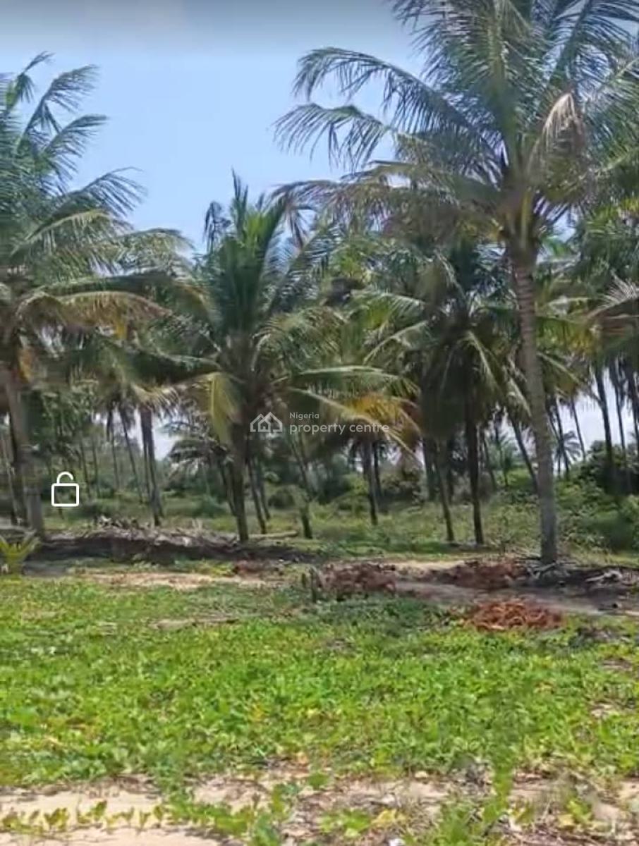Farm with Palm Tree, Poultry Pen, Cattle Ranch, Rice Mill, Obokun Farm, Egbeda, Oyo, Mixed-use Land for Sale