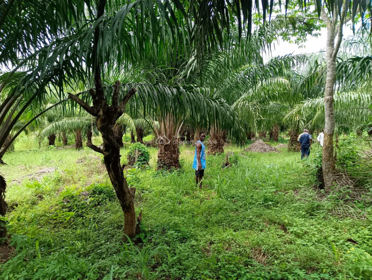 Farm with Palm Tree, Poultry Pen, Cattle Ranch, Rice Mill, Obokun Farm, Egbeda, Oyo, Mixed-use Land for Sale