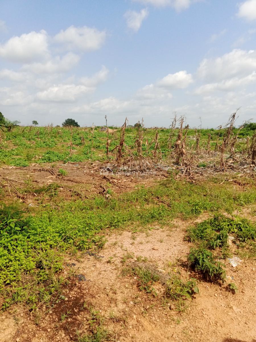 Smart Investment, By Sefacc Hotel & Suites, Dei-dei, Abuja, Residential Land for Sale
