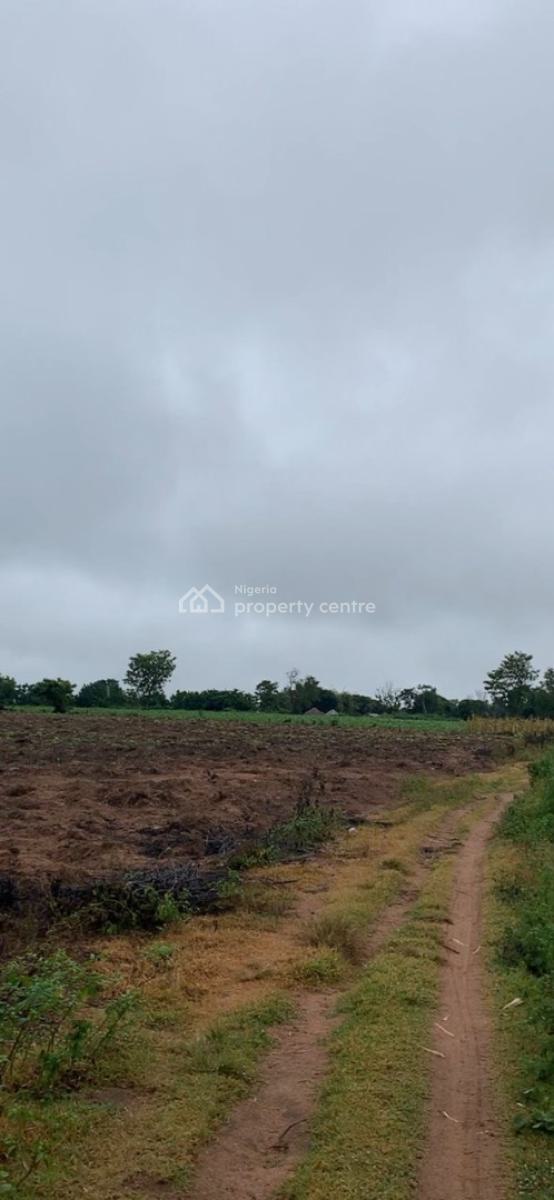 Own Land Plus Agriculture in One Smart Investment, Own Fertile Acre Is Farmland with Easy Access to Lafenwa Market, Abeokuta North, Ogun, Mixed-use Land for Sale
