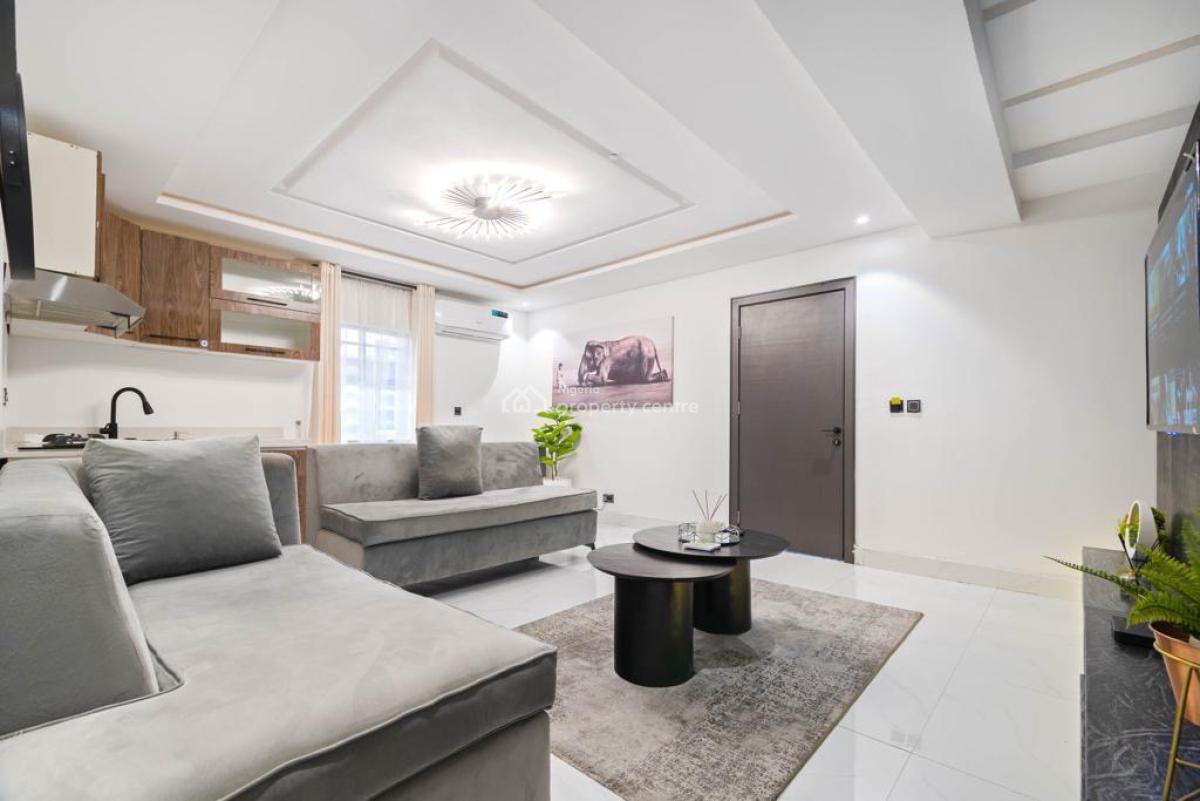 Nicely Furnished 2 Bedrooms Apartment, Lekki Phase 1, Lekki, Lagos, Flat / Apartment Short Let