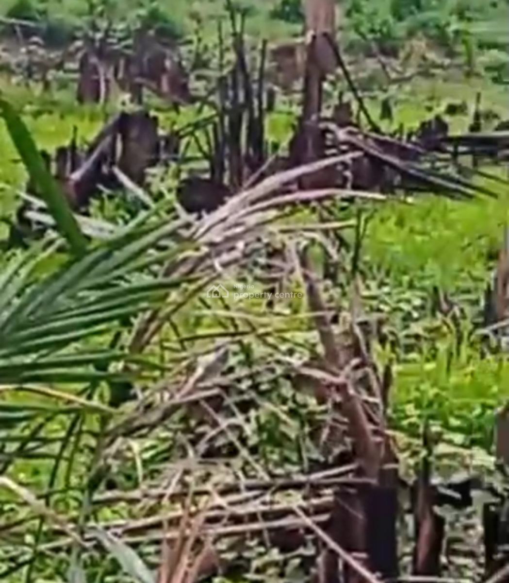 10 Acres of Land, Olotun Village Behind Rock Old Auditorium, Simawa, Ogun, Residential Land for Sale