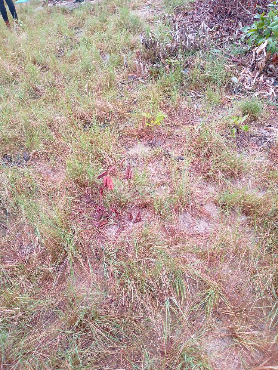 Premium Affordable Dry Land, Bethel Gardens, Folu Ise, Ibeju Lekki, Lagos, Land for Sale