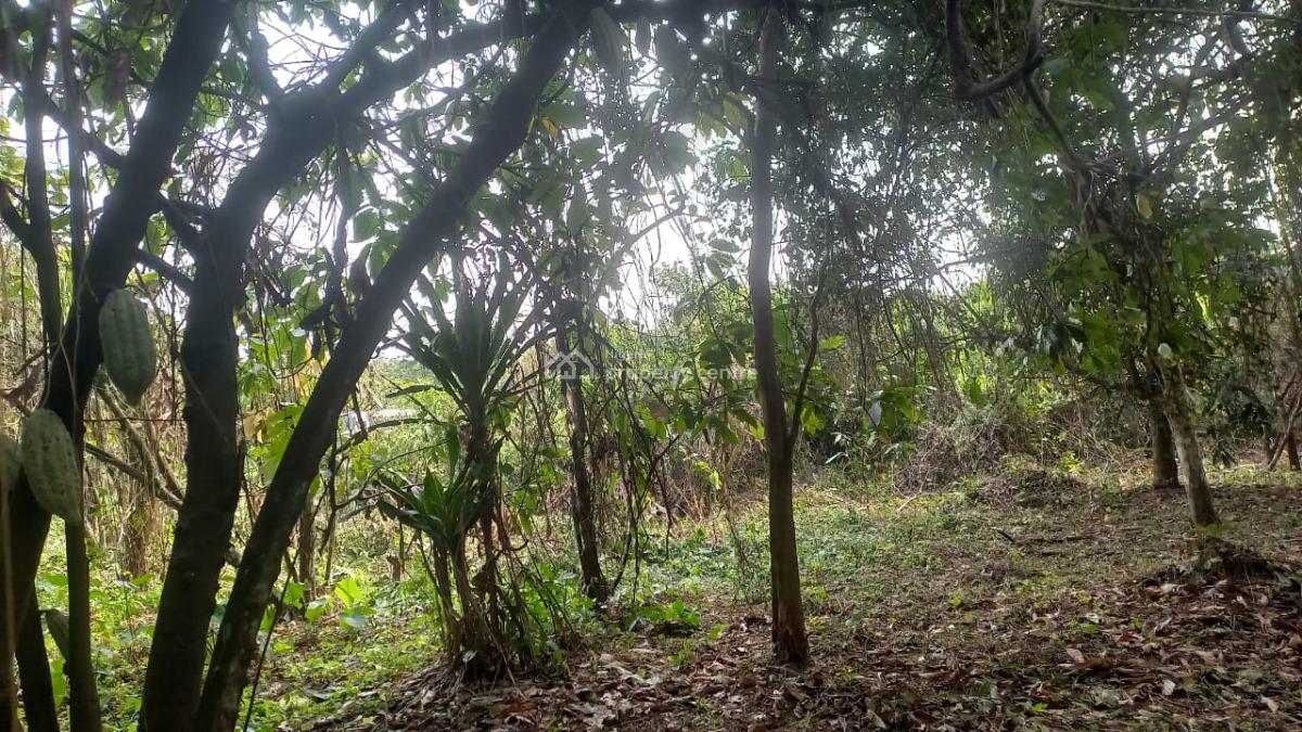 Cheapest Cocoa Farm, Cocoa Farm Land Located Along Old Abeokuta Road Ogun State, Obafemi Owode, Ogun, Industrial Land for Sale