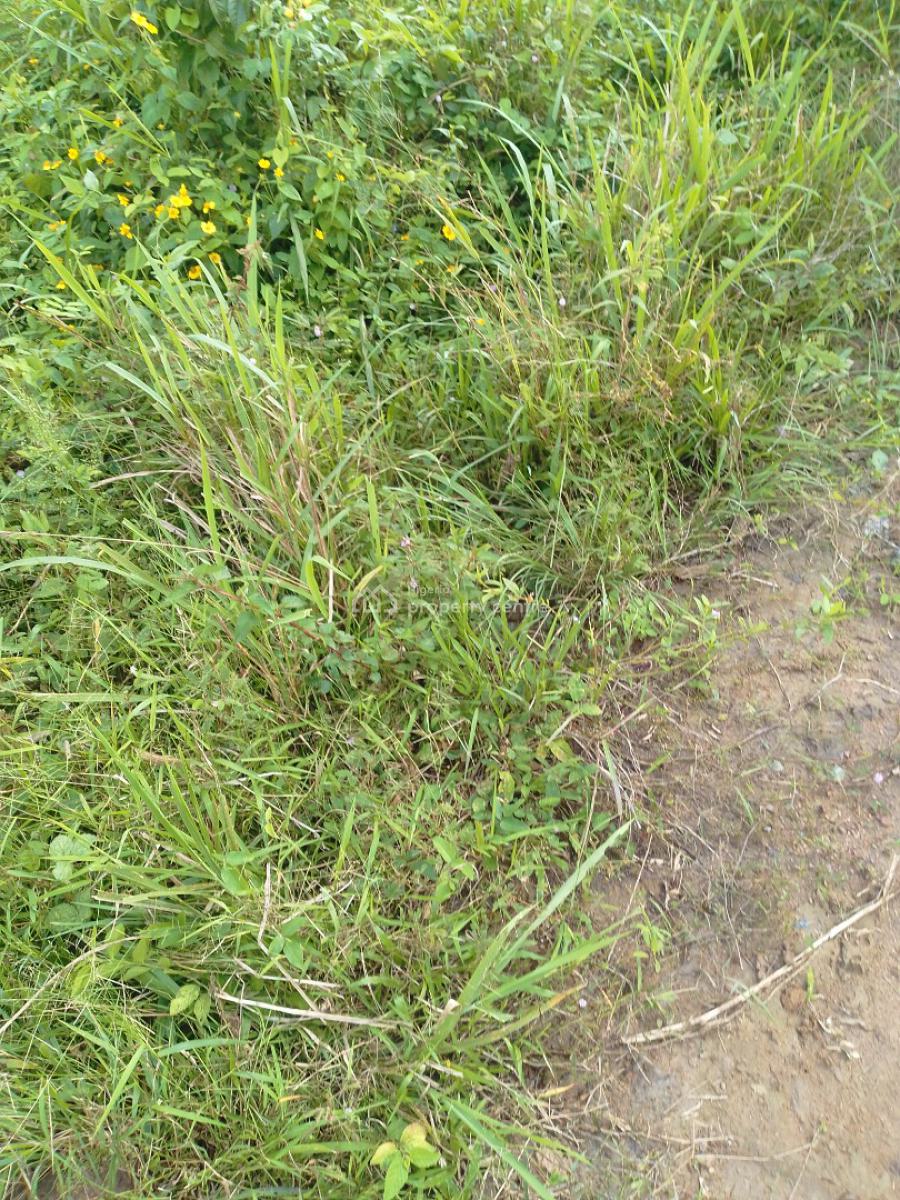 Affordable Fertile Farm Land Suitable for All Agricultural Purposes, Isiwo Igbodu, Epe, Lagos, Land for Sale