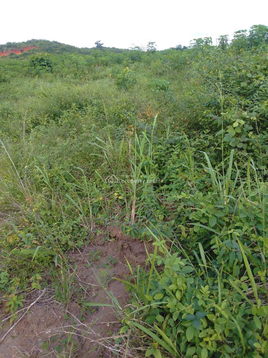 Affordable Fertile Farm Land Suitable for All Agricultural Purposes, Isiwo Igbodu, Epe, Lagos, Land for Sale