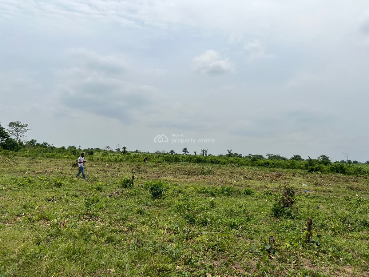 Own a Stake in The Second Largest Local Government Area By Population, 100% Dry Land with Easy Access to Canaan Land , Convenant University, Atan Ota, Ado-odo/ota, Ogun, Mixed-use Land for Sale