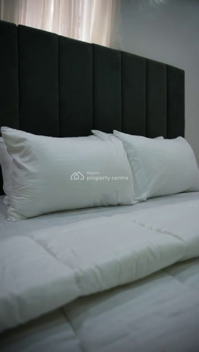 Nicely Furnished 2 Bedrooms Apartment, Ikate, Lekki, Lagos, Flat / Apartment Short Let