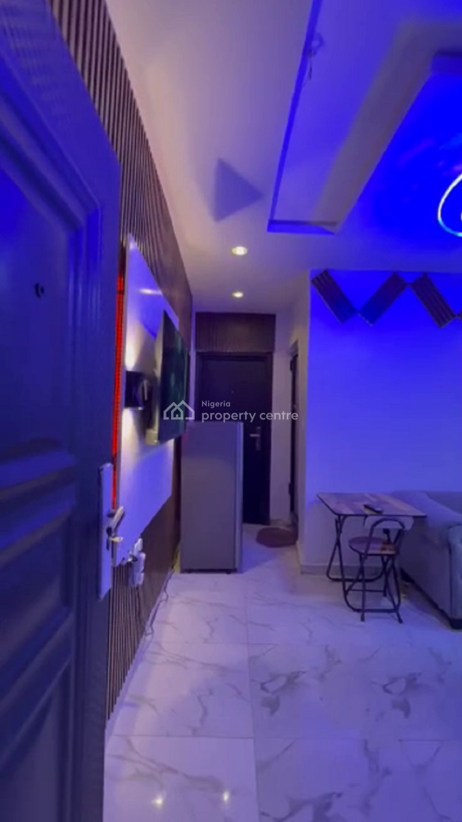 Nicely Furnished 1 Bedroom Apartment, Surulere, Lagos, Flat / Apartment Short Let