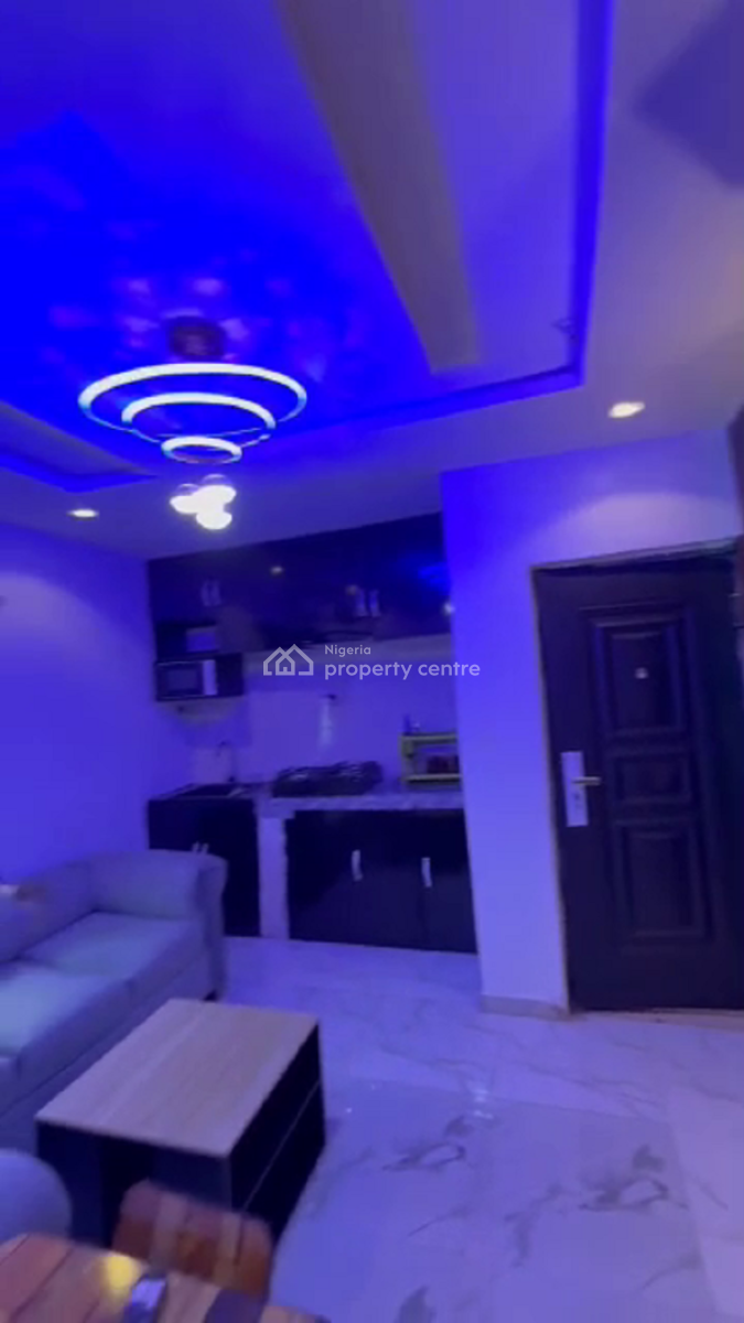 Nicely Furnished 1 Bedroom Apartment, Surulere, Lagos, Flat / Apartment Short Let