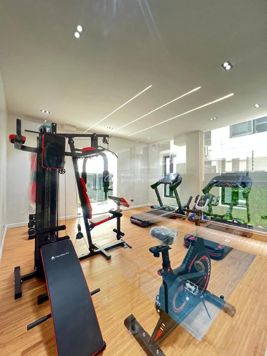 Perfectly Carved & Well Furnished 2 Bedroom Apartment, Ikate, Lekki, Lagos, Flat / Apartment for Sale