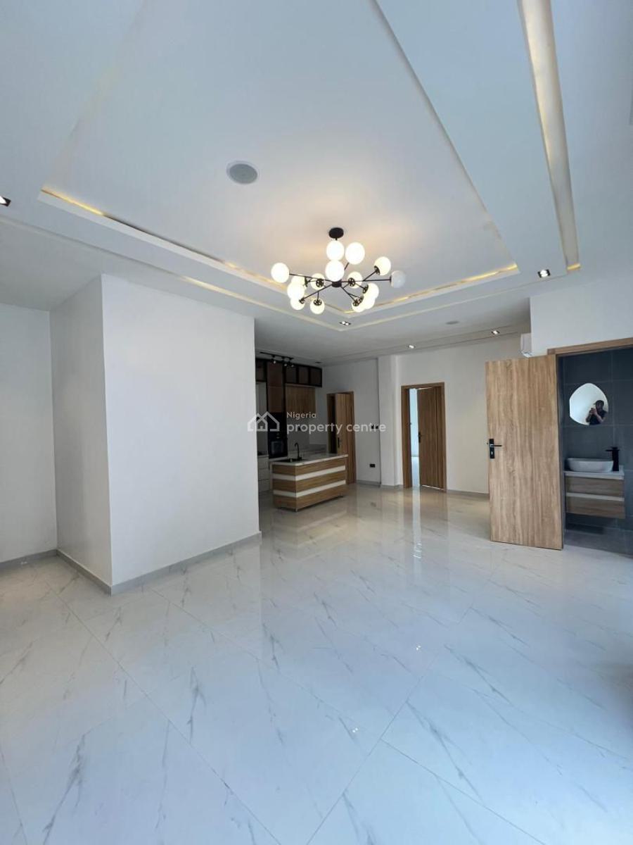 Perfectly Carved & Well Furnished 2 Bedroom Apartment, Ikate, Lekki, Lagos, Flat / Apartment for Sale